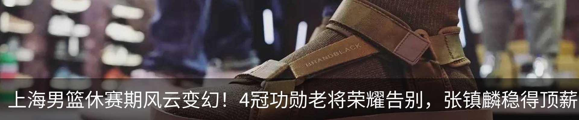 最新动态