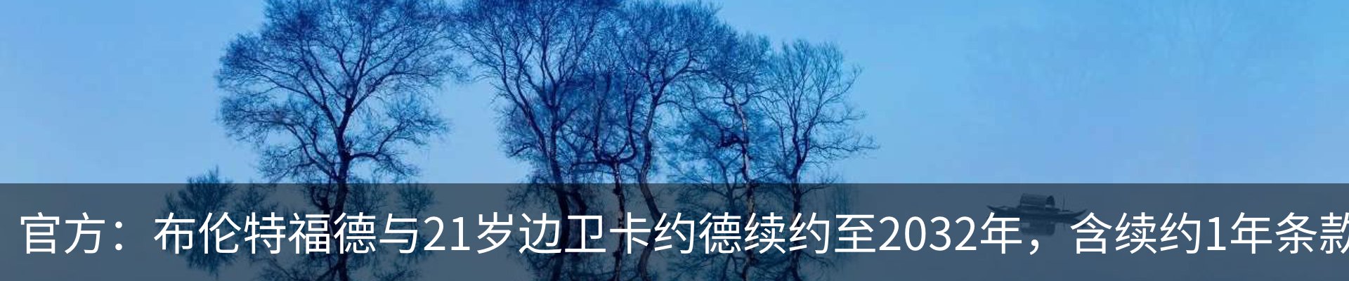 最新动态