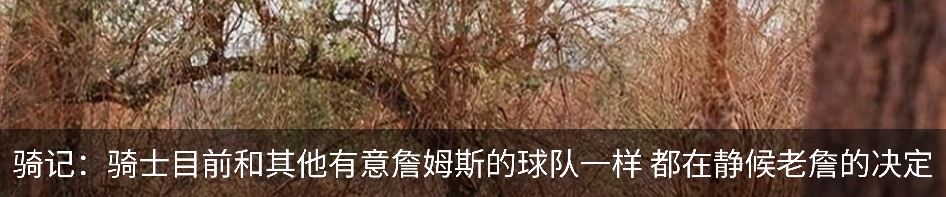 最新动态