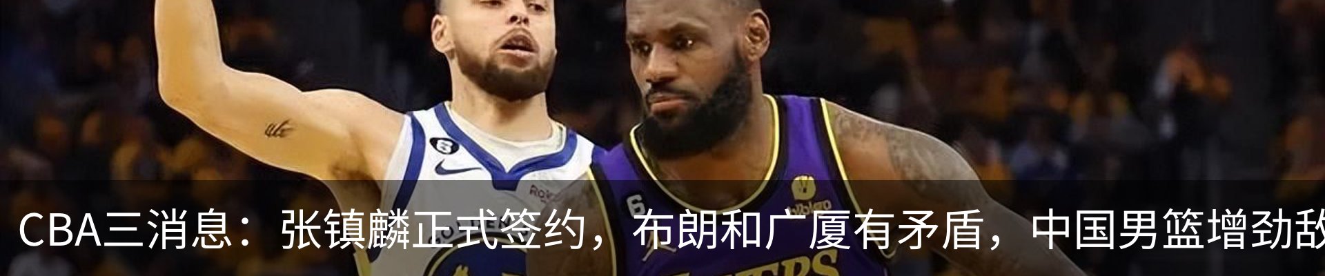 最新动态