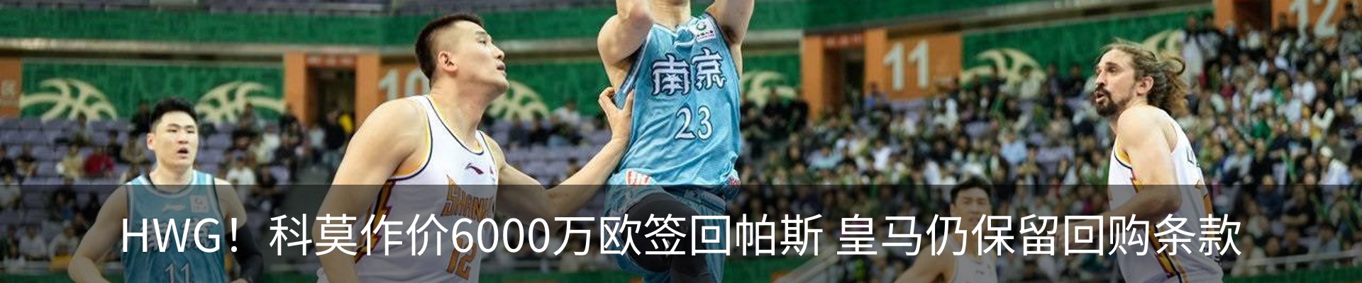 最新动态